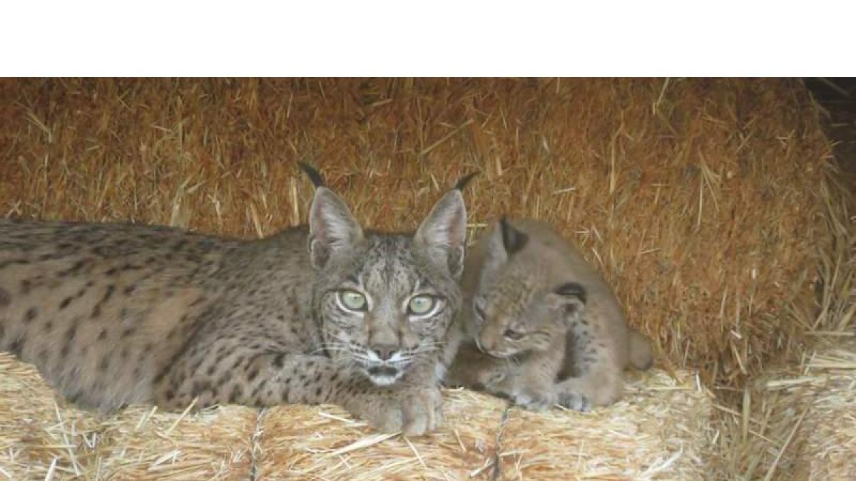 Fotograma del documental ‘En tierra de todos’, una apuesta por la coexistencia natural. DL