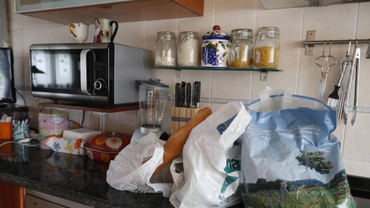 Bolsas de la compra. RAMIRO