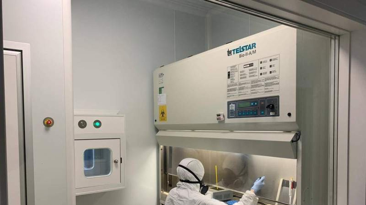 Agrovet, en su laboratorio de la calle Renueva, apuesta por combatir la propagación del Covid-19. DL