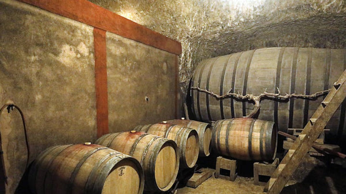 Interior de una bodega. M. P.