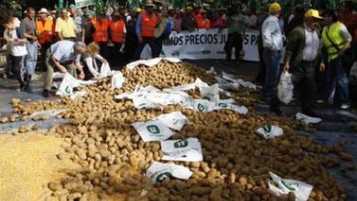 Las calles de León recibieron la marcha campesina.
