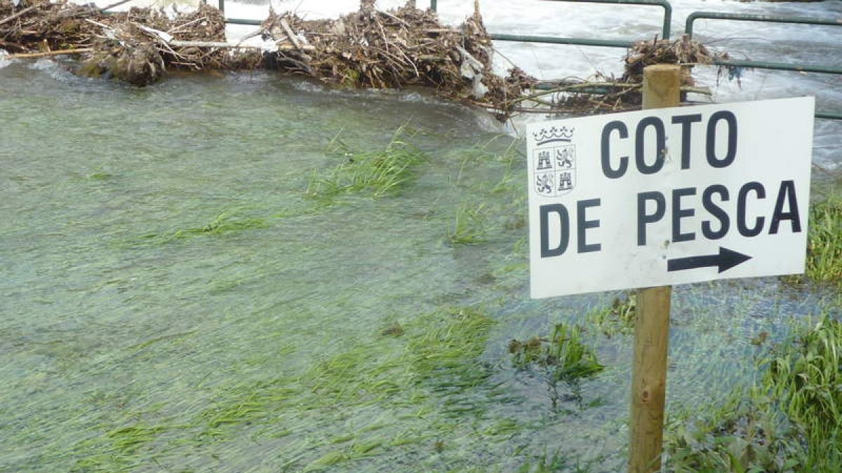 La subida de tasas aparejó un descenso en las licencias.