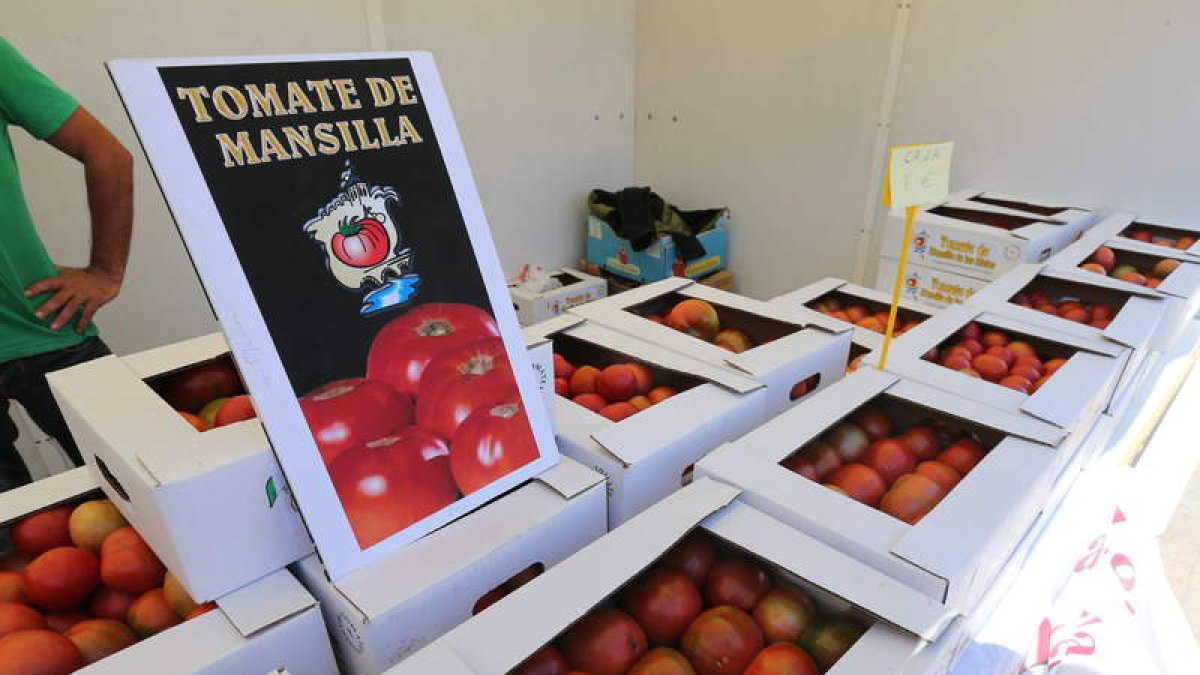 La Feria del Tomate de Mansilla suscita cada año una gran expectación. RAMIRO