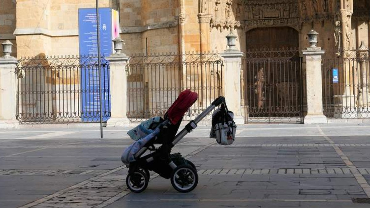 javier fernández zardón