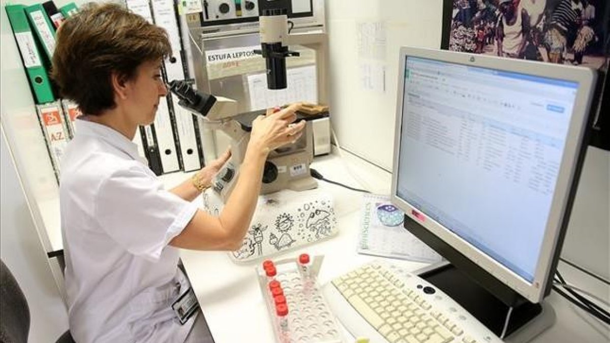 La viróloga Àngels Marcos en el laboratorio de microbiología del Hospital Clínic donde se analizan los virus gripales.