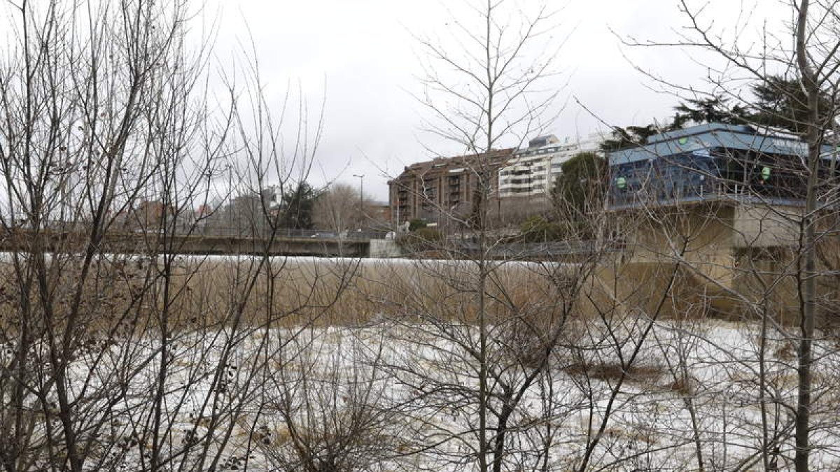 Imagen del río Bernesga a su paso por León. MARCIANO