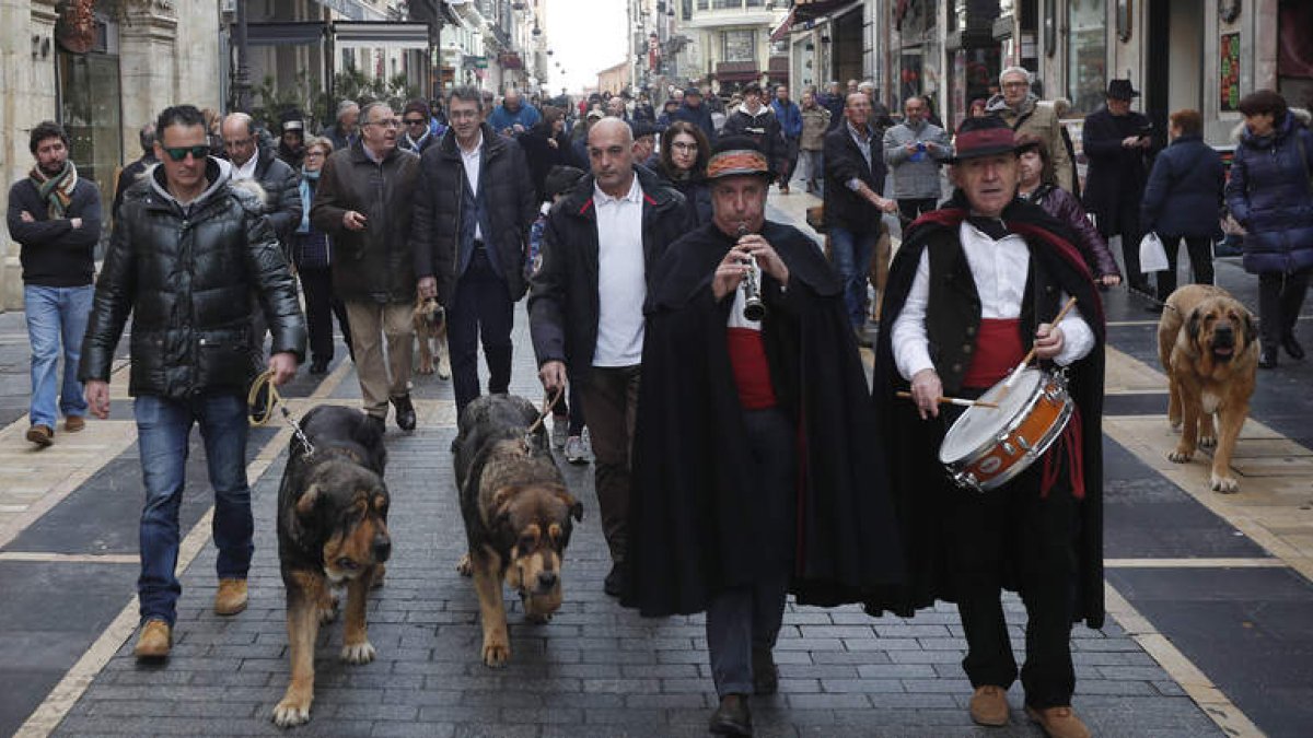 Los campeones recorrieron la Calle Ancha hasta Botines, acompañados por las autoridades y un grupo de dulzaineros. JESÚS F. SALVADORES