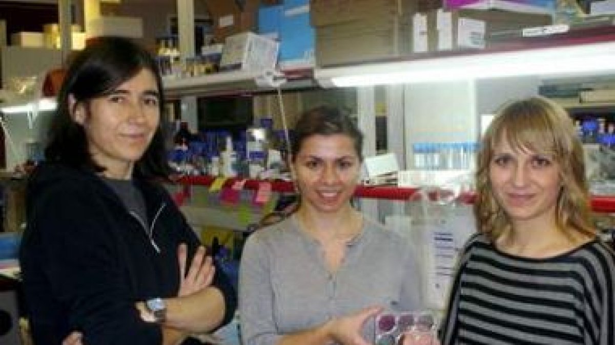 Las científica María Blasco en el laboratorio junto con otras dos investigadoras.