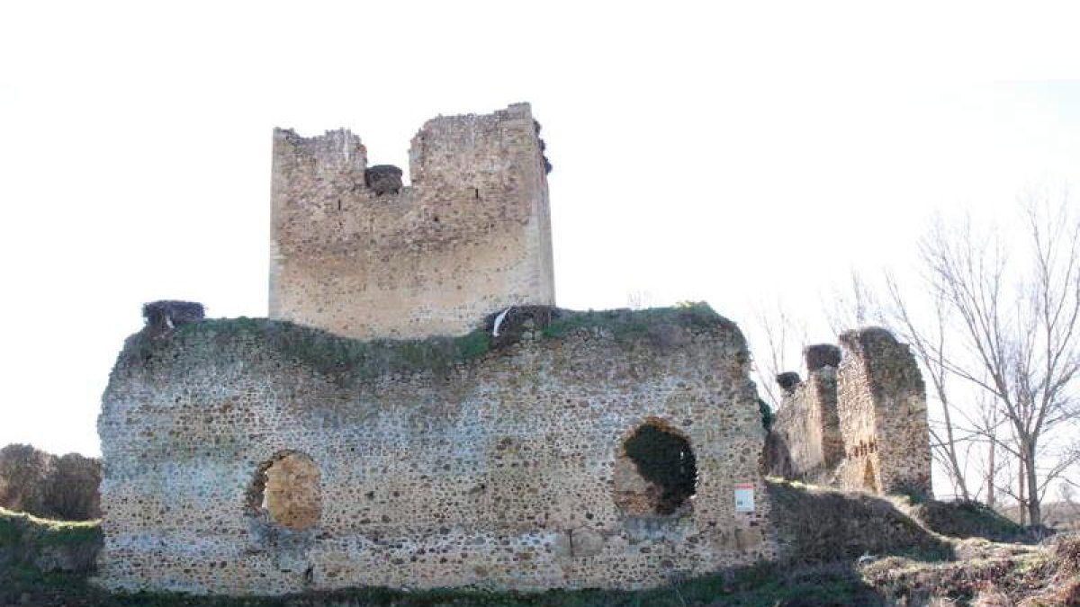 Vistas del Castillo de Villapadierna en Cubillas de Rueda, que será restaurado en varios apartados de la construcción. CAMPOS