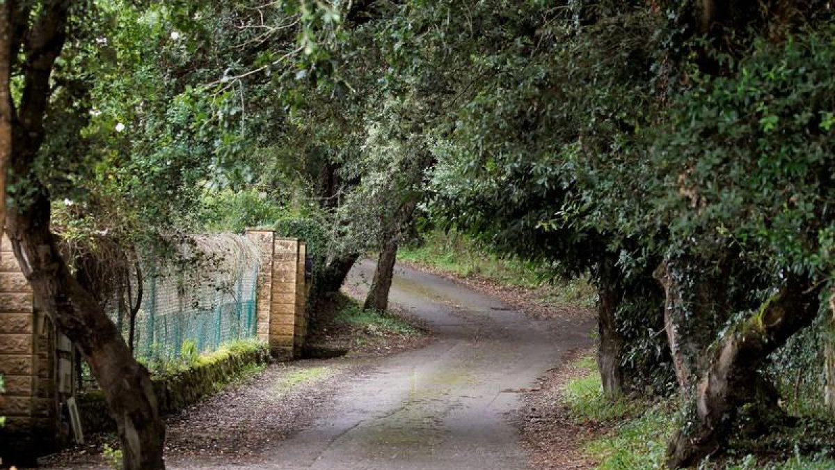 Inmediaciones de la casa de concejal de IU en Llanes, Javier Ardines, de 52 años cuyo cadáver fue hallado ayer con varios golpes en la cabeza.