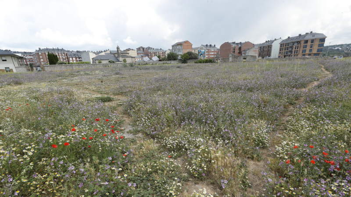 Zona de Ponferrada donde irá el nuevo centro de salud. ANA F. BARREDO