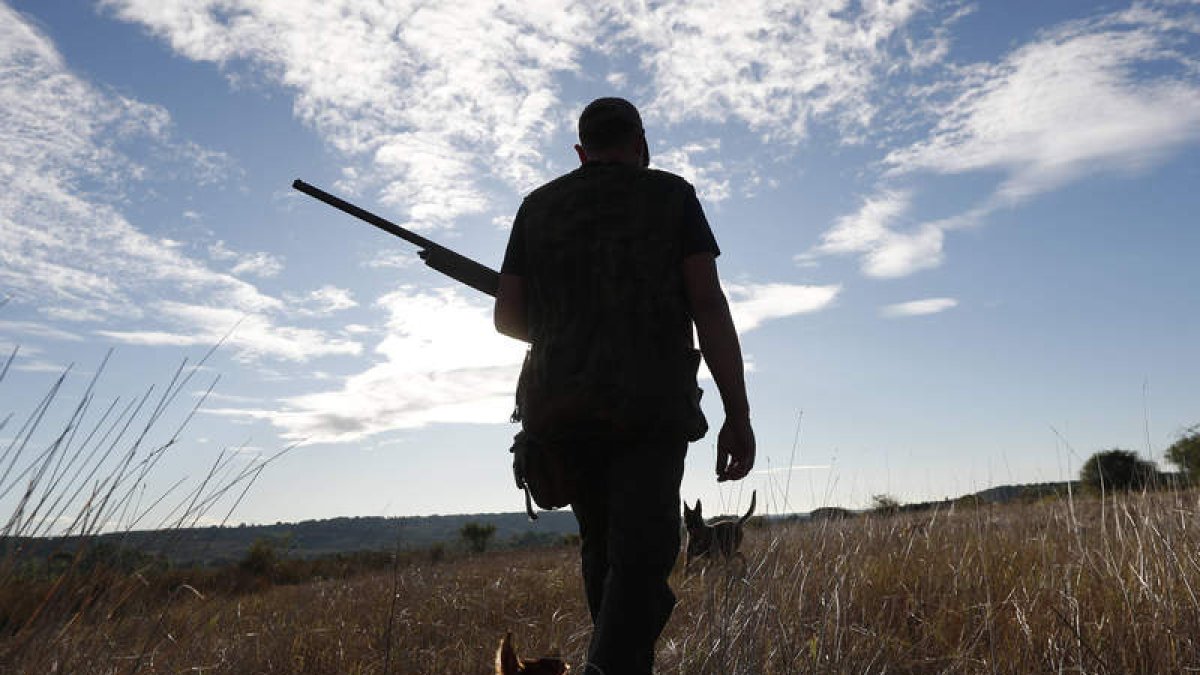 Un cazador junto a sus perros en una de las jornadas de actividad en el campo leonés. JESÚS