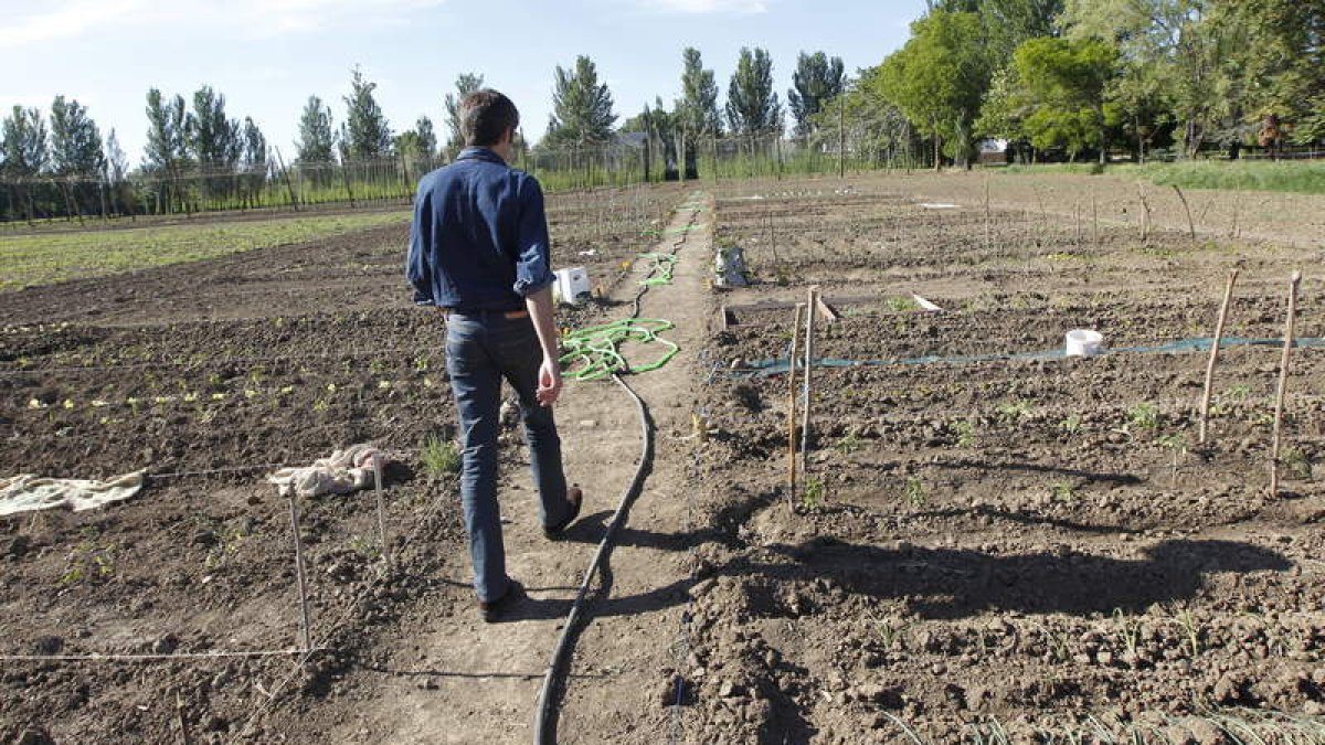 Las explotaciones con jóvenes al frente es la única salida de relevo generacional que espera el campo leonés.