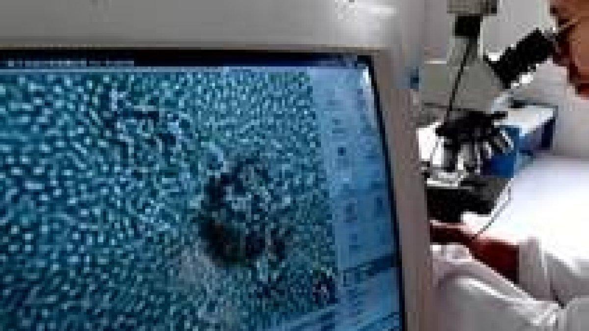 Análisis y medición de la calidad del esperma en un laboratorio chino