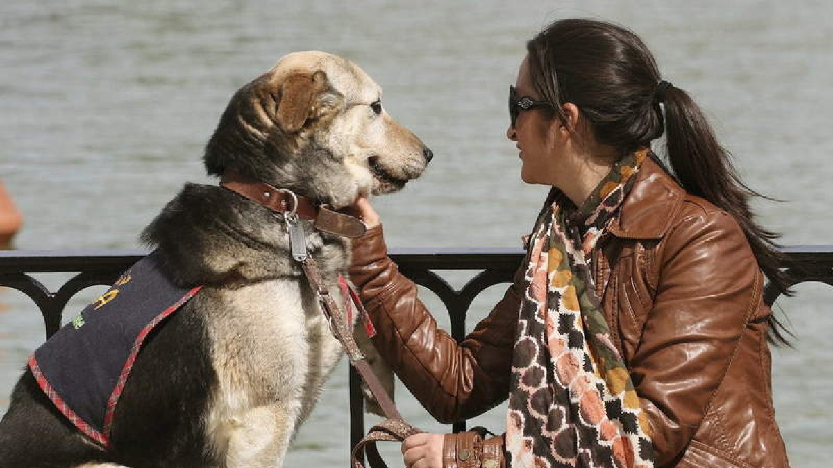 El parque madrileño del Retiro fue el lugar elegido para que una treintena de perros abandonados encontrasen dueño.
