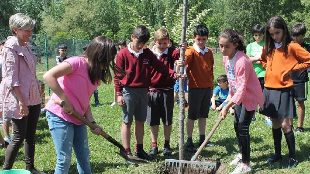 La concejala Ana Franco observa a un grupo de niños plantar un árbol en el Coto Escolar. CÉSAR