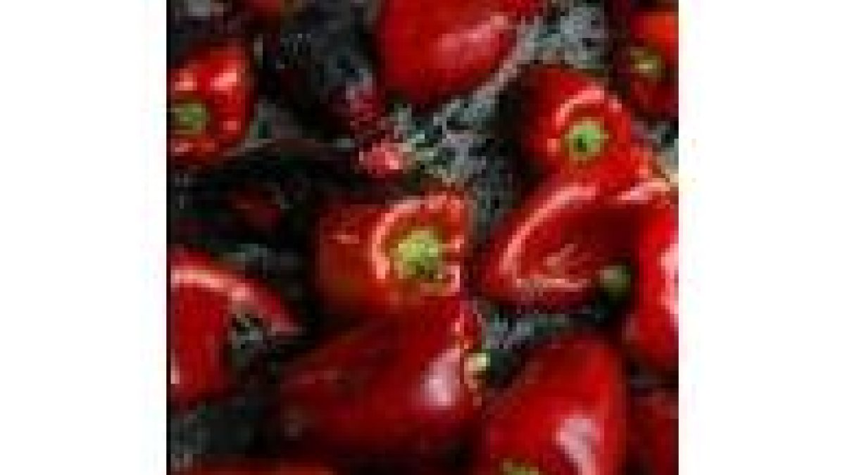 Recetas sencillas y creativas con pimiento asado