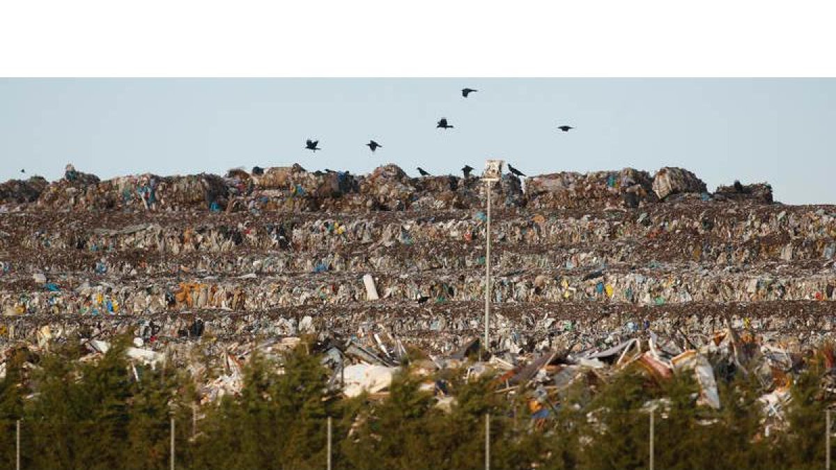 Imagen del gran vertedero del CTR de San Román, donde la basura ya ha consumido un tercio de su capacidad.