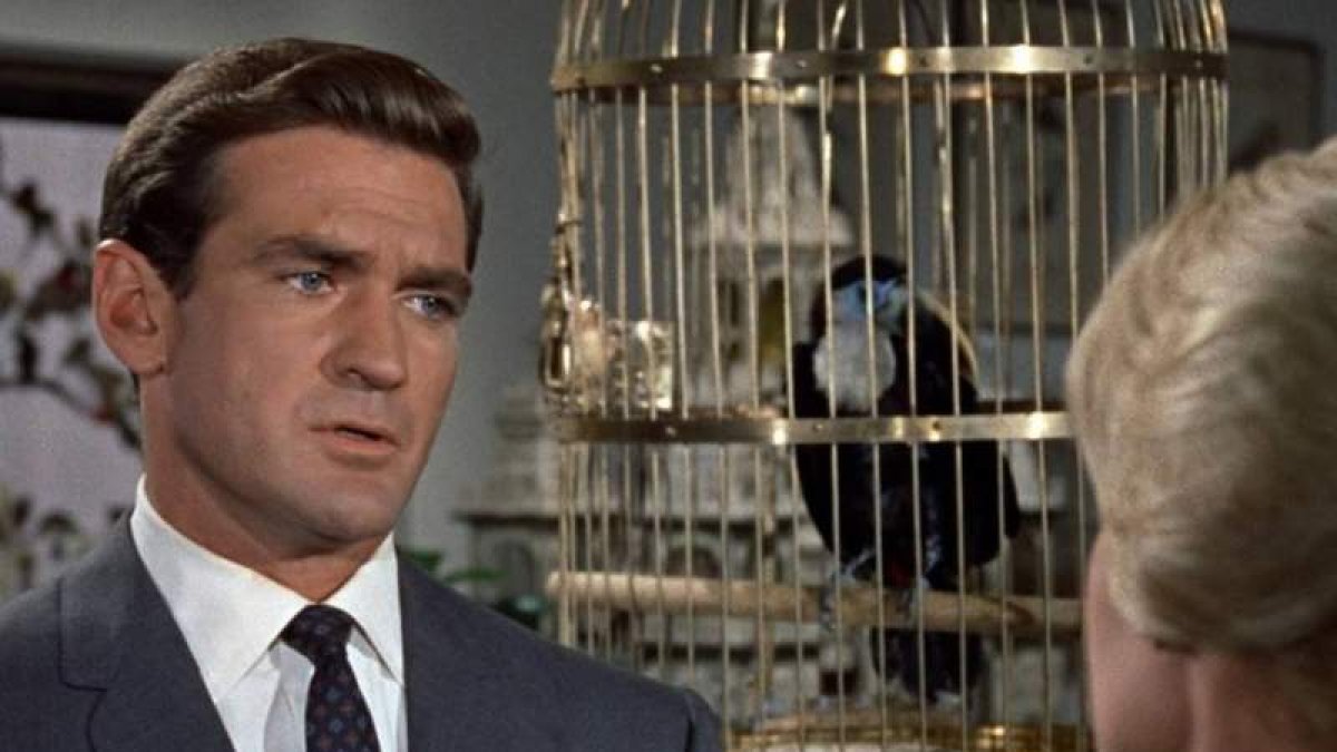 Rod Taylor en una escena de ‘Los pájaros’, de Hitchcock.