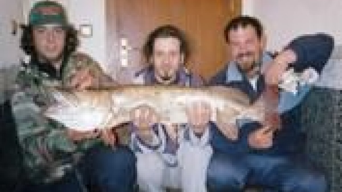 Lucio de 12,6 kilos y 110 centímetros pescado en el Órbigo