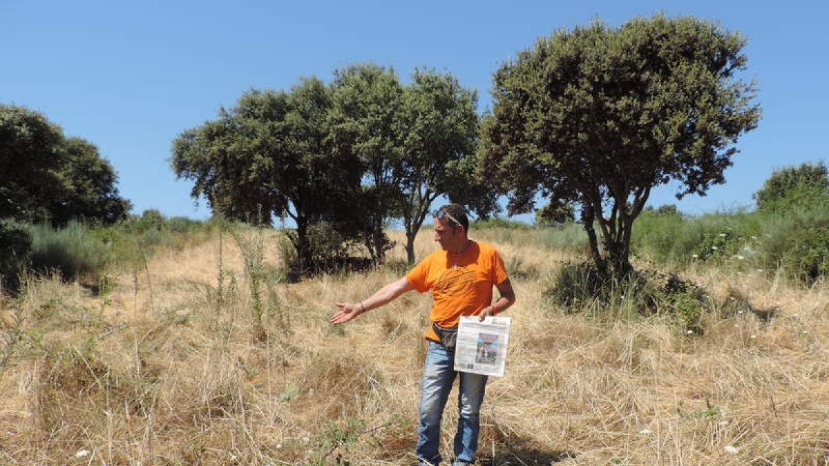 El profesor y agricultor a título particular, Raúl Federico González, en una de las fincas arrasadas. DL
