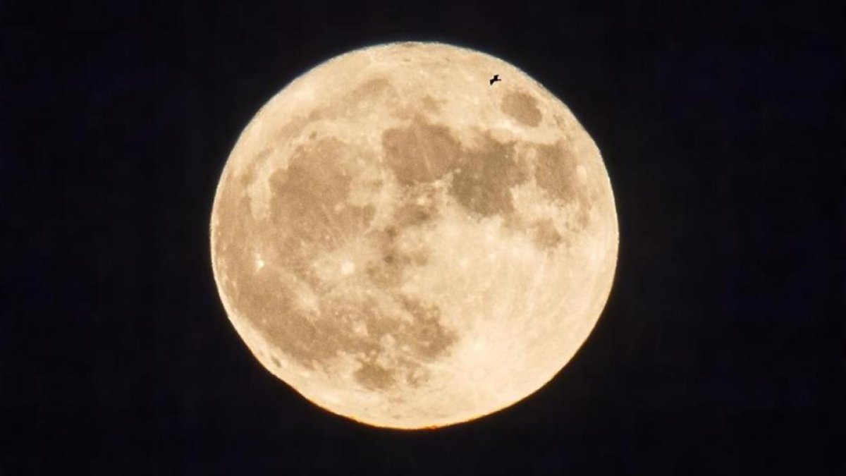 Luna Llena, vista desde Barcelona el 14 de noviembre del 2016.
