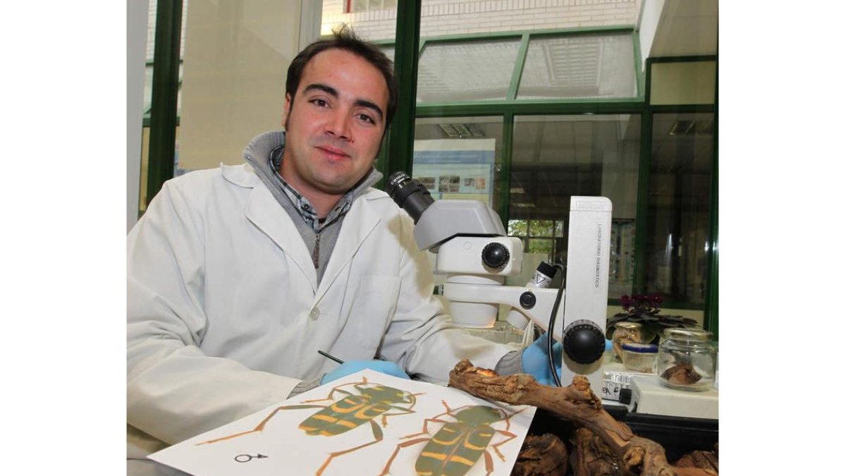 Álvaro Rodríguez González, en el Instituto de Recursos Naturales, desde donde realiza su tesis doctoral.