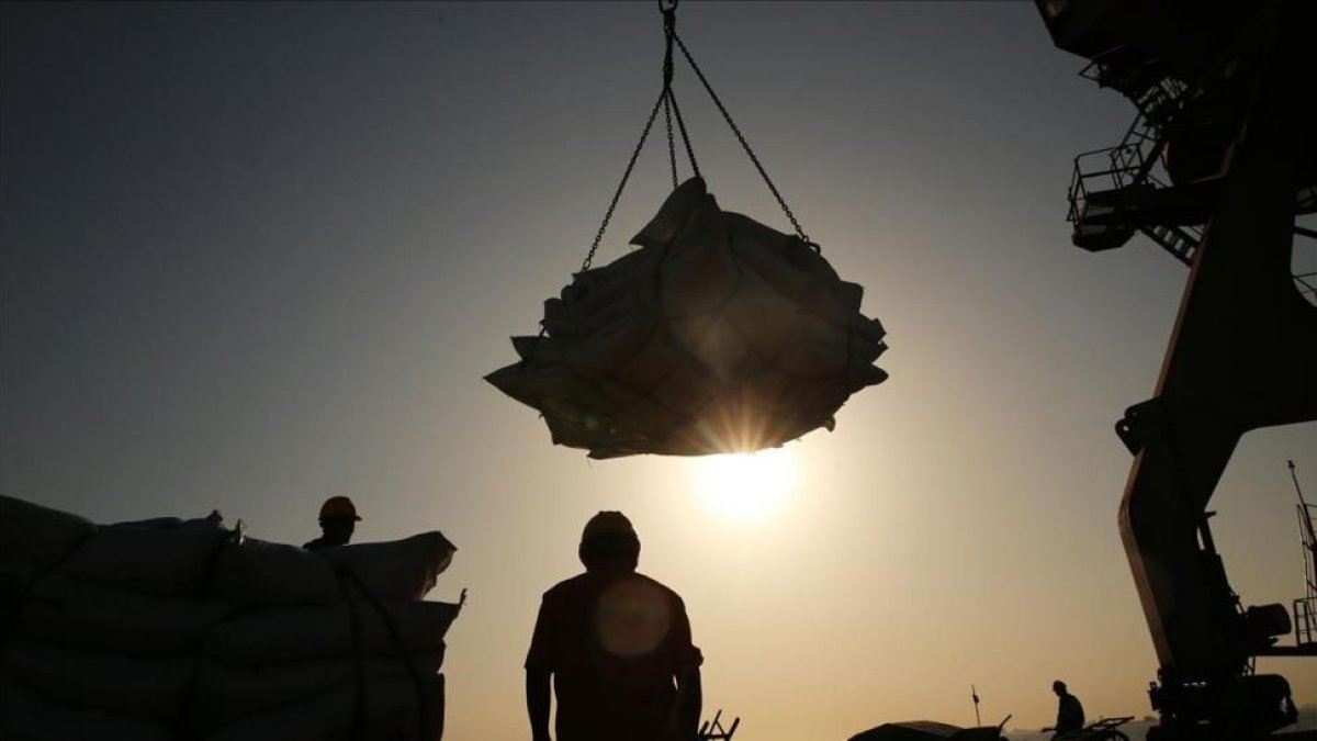 Trabajadores portuarios descargan un barco en el puertos de Nantong, en la provincia de Jiangsu. / APF