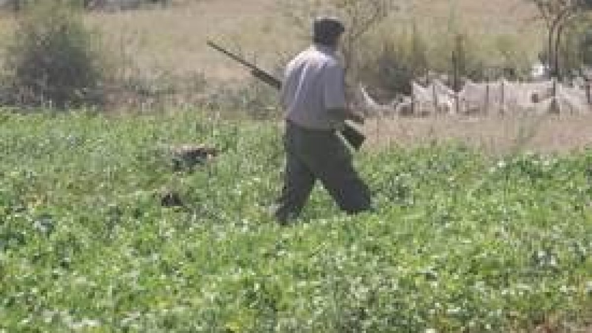 Un cazador leonés, durante una jornada en el campo, en una imagen de archivo