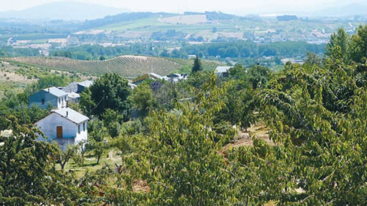 Sobre la ladera norte del Castro de la Ventosa se trabaja en la construcción de una bodega y un albergue de peregrinos.