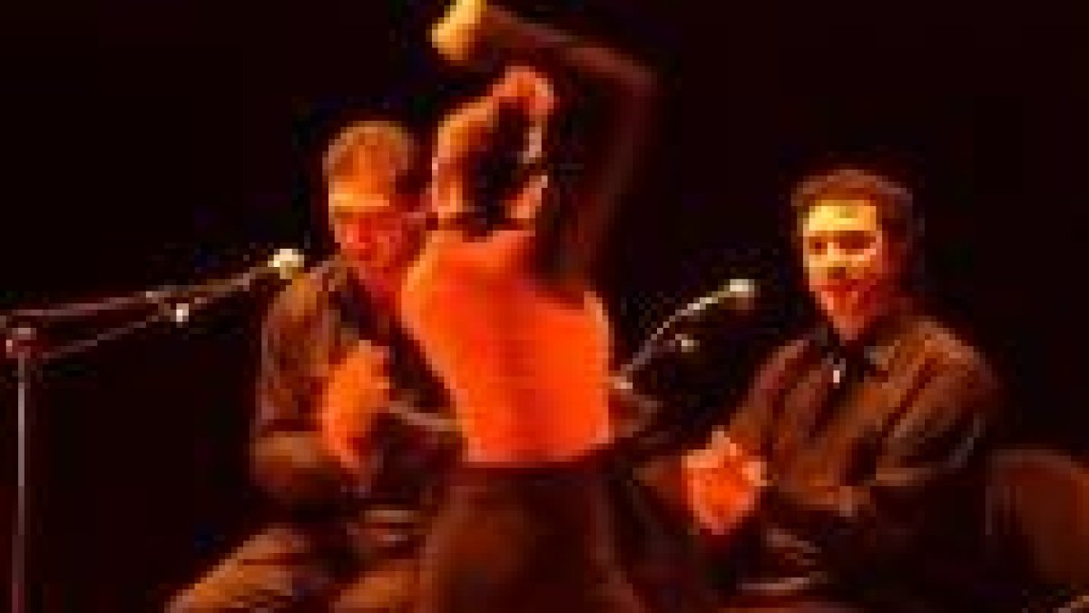 Un instante del espectáculo flamenco que pudo verse ayer en León