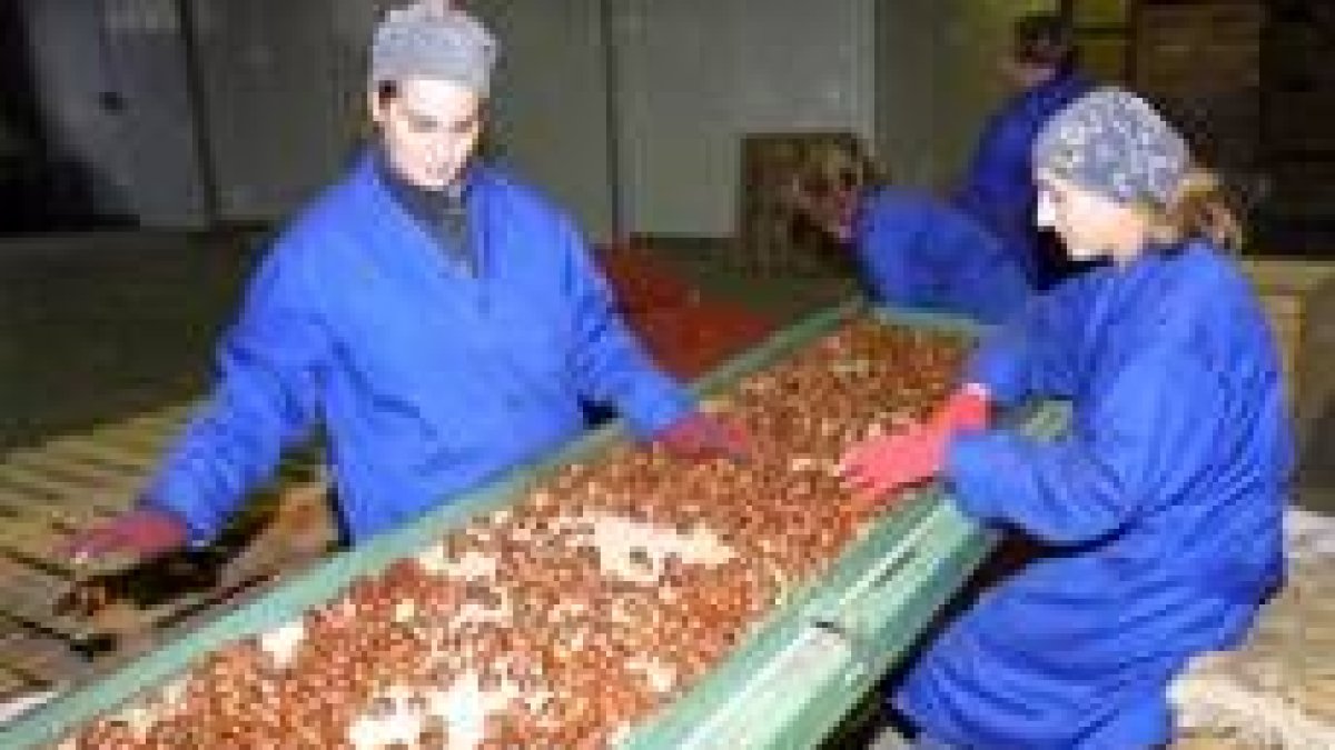 León es la provincia con más cooperativas de la comunidad; arriba una agroalimentaria en el Bierzo