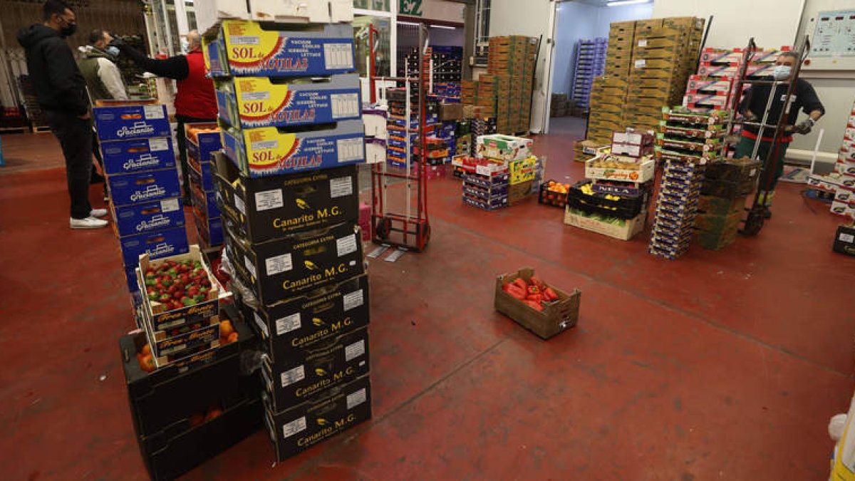Las organizaciones agrarias piden actuaciones más urgentes con la cadena alimentaria. ramiro