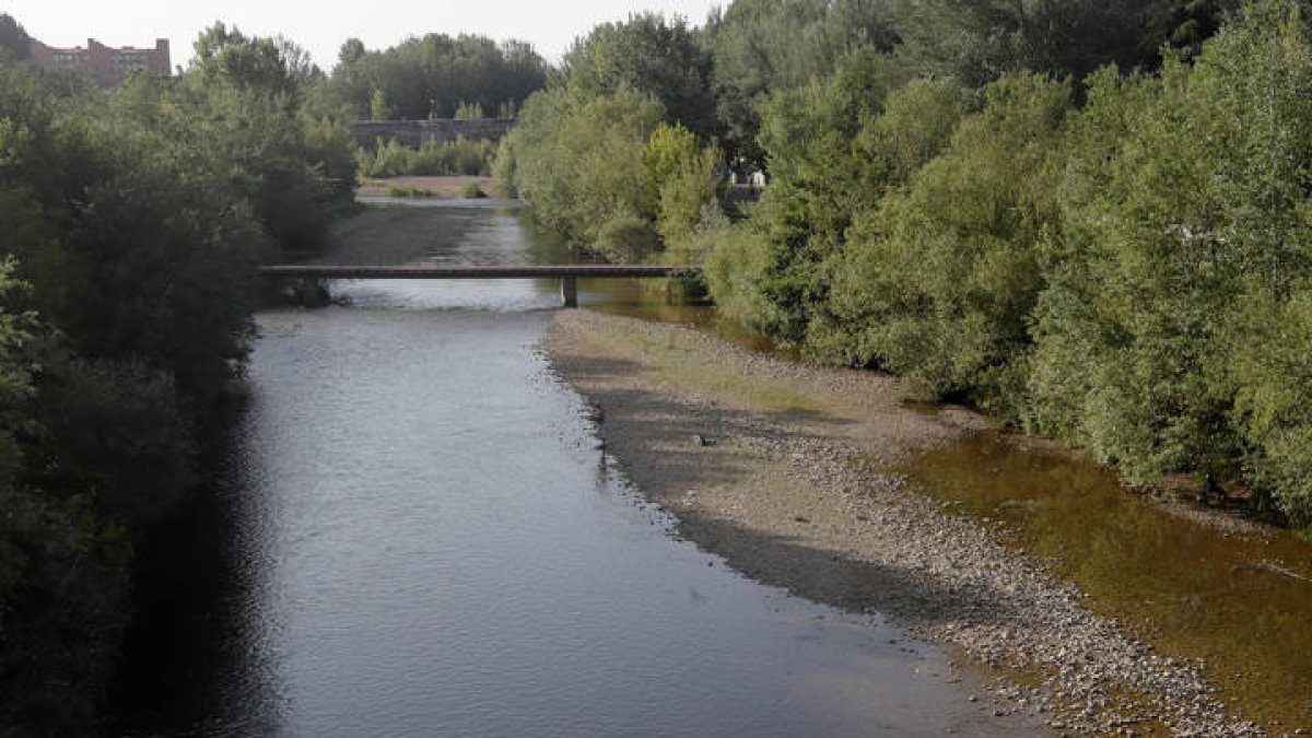 Río Bernesga a su paso por León. RAMIRO