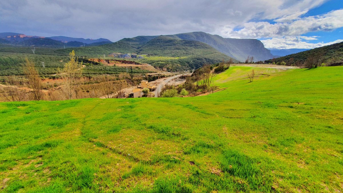 La vieja y cerrada cantera de Catisa asemeja ahora a un campo de golf por el verde. DL