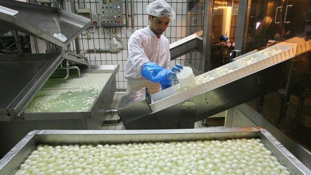 Un trabajador de una quesería elabora mozzarella de búfala en la ciudad italiana de Mondragone, a 50 kilómetros de Nápoles.
