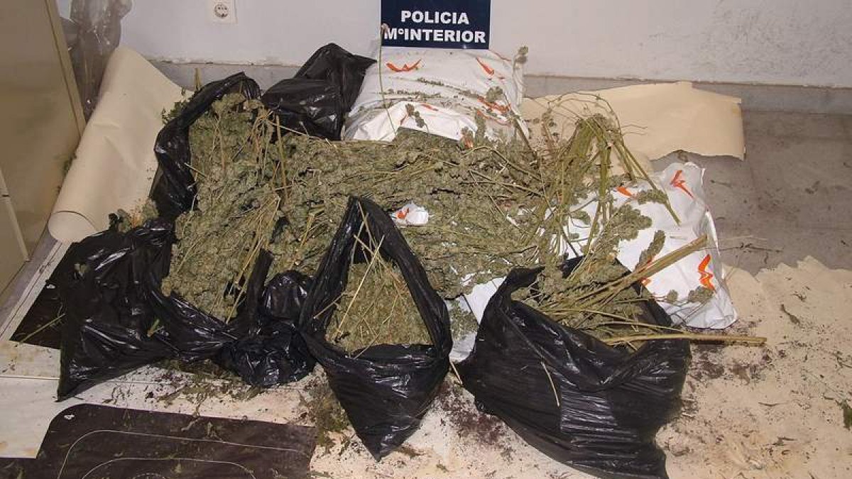 Detalle del material intervenido por los agentes policiales.