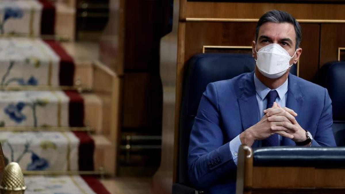 Pedro Sánchez, ayer, en la sesión de control del Congreso de los Diputados. EMILIO NARANJO