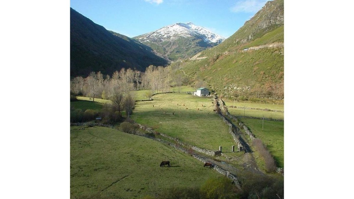 vergara