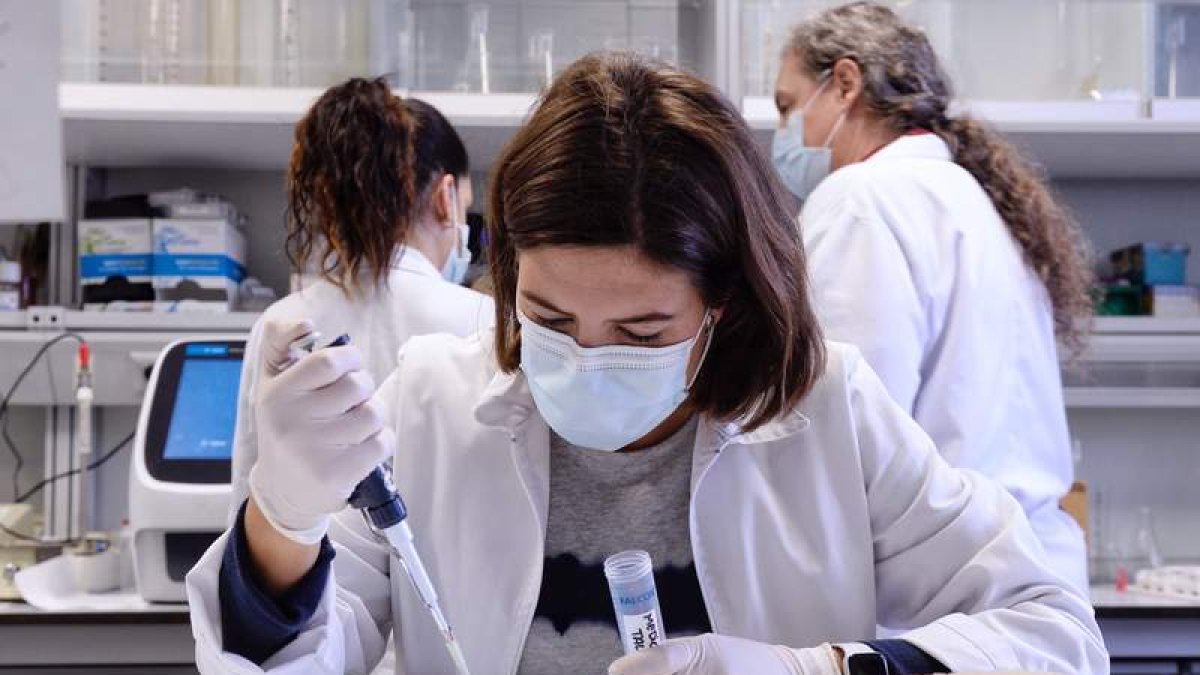 Jóvenes científicas en el Instituto de Biología y Genética Molecular. NACHO GALLEGO