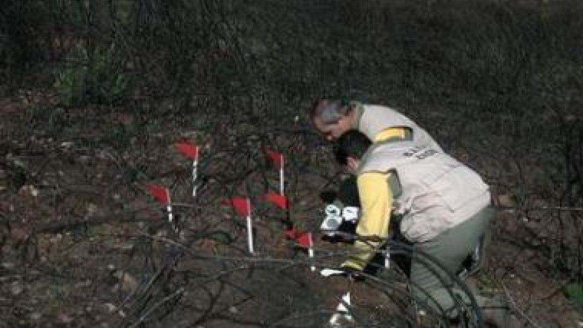 Un agente forestal y un miembro de la desaparecida brigada de investigación de la Junta, en el 2003