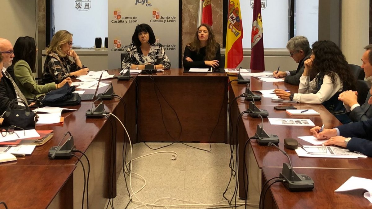 La Comisión Territorial de Coordinación, reunida este lunes en León. DL