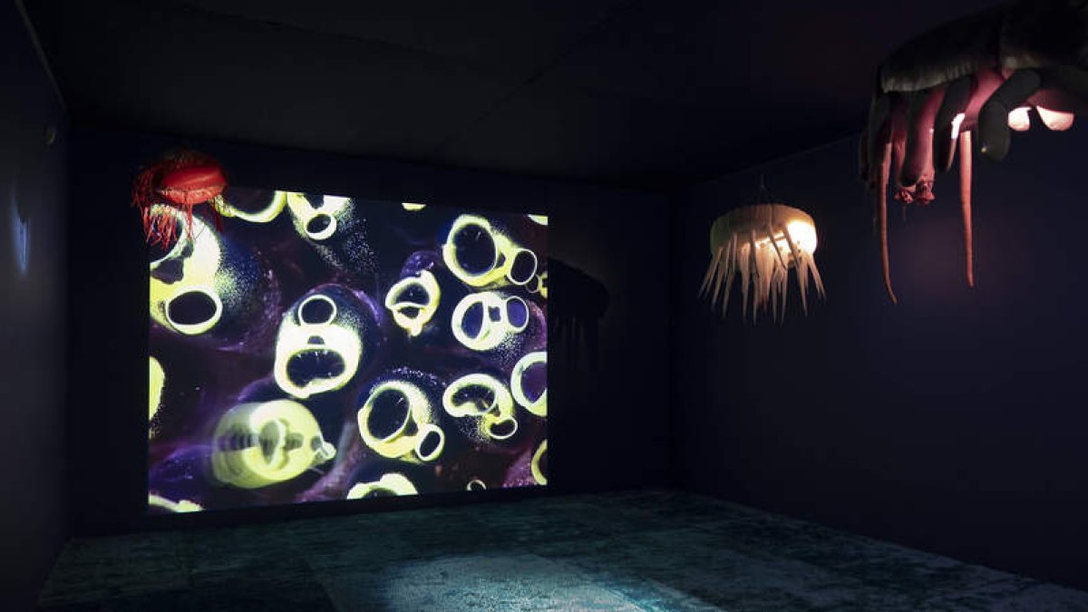Inês Zenha: entanglements 2023. museo nacional thyssen Bornemisza
