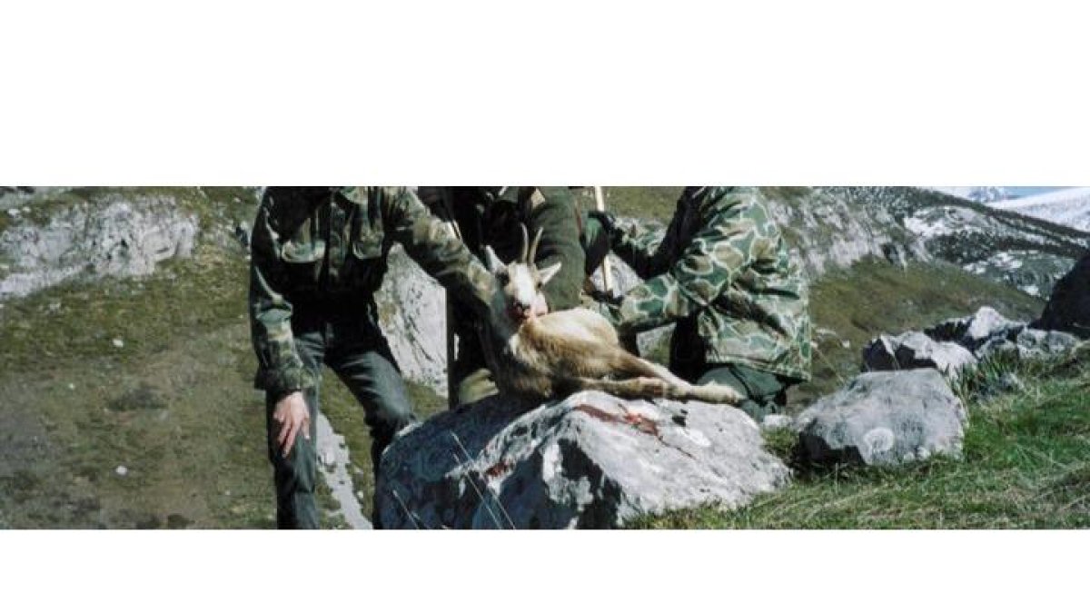 Se acabaron las cacerías deportivas en Picos. DL