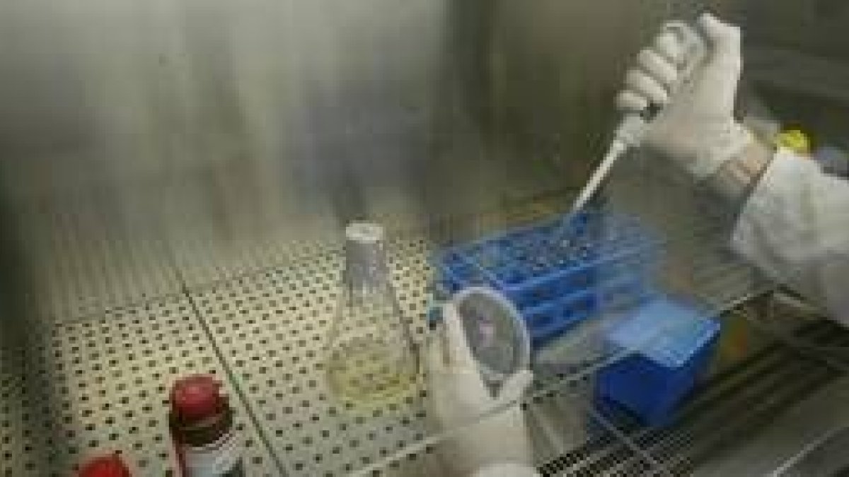 Se han descubierto cientos de genes que reducen los depósitos de grasa y otros que los aumentan