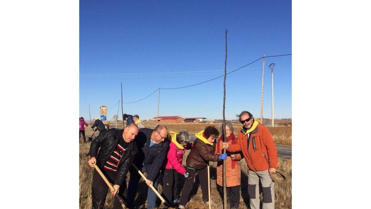 Las plantaciones se realizaron ayer por la mañana. DL