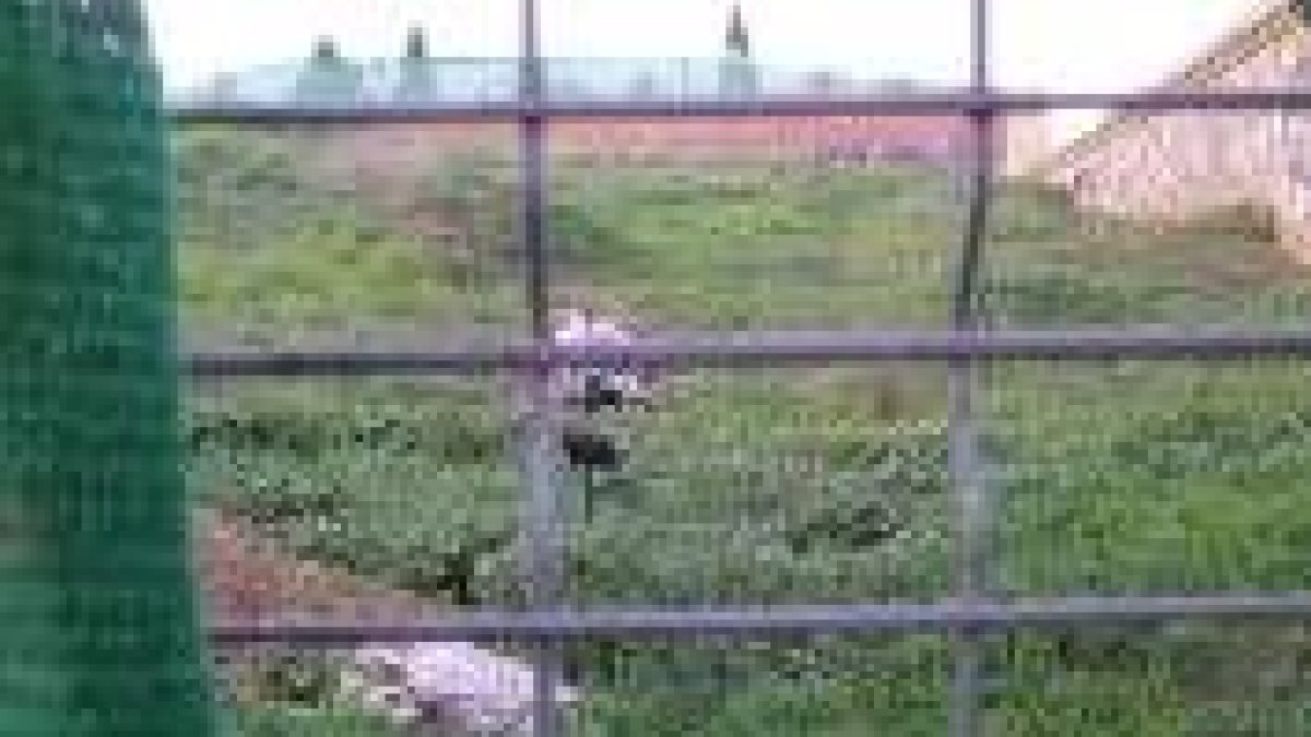 Imagen de la fosa común, en la que se encuentran los restos de los republicanos
