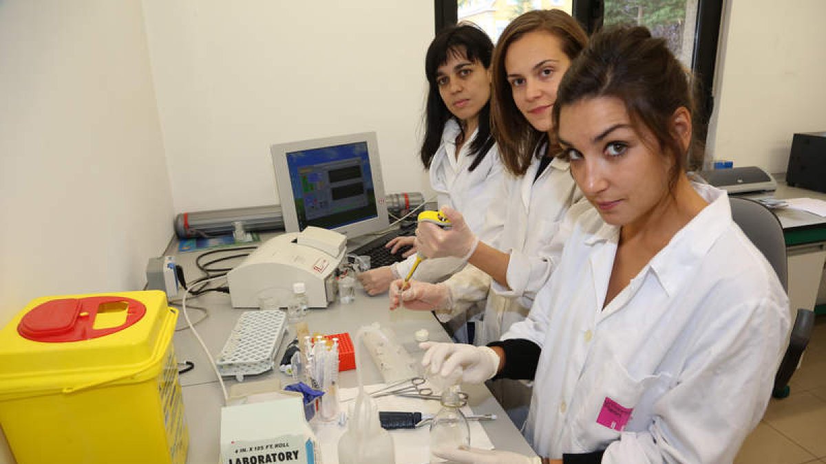 Elba Mauriz, Raquel Ordoñez y Sara Carbajo, trabajan con el biosensor que detecta de manera rápida las células tumorales.