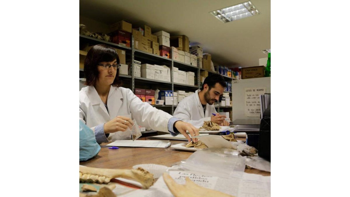 Uno de los laboratorios de la facultad. SECUNDINO PÉREZ