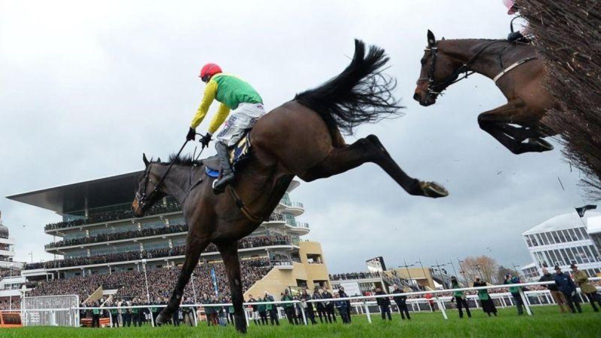 Sizing John, en la carrera que ganó en Cheltenham.